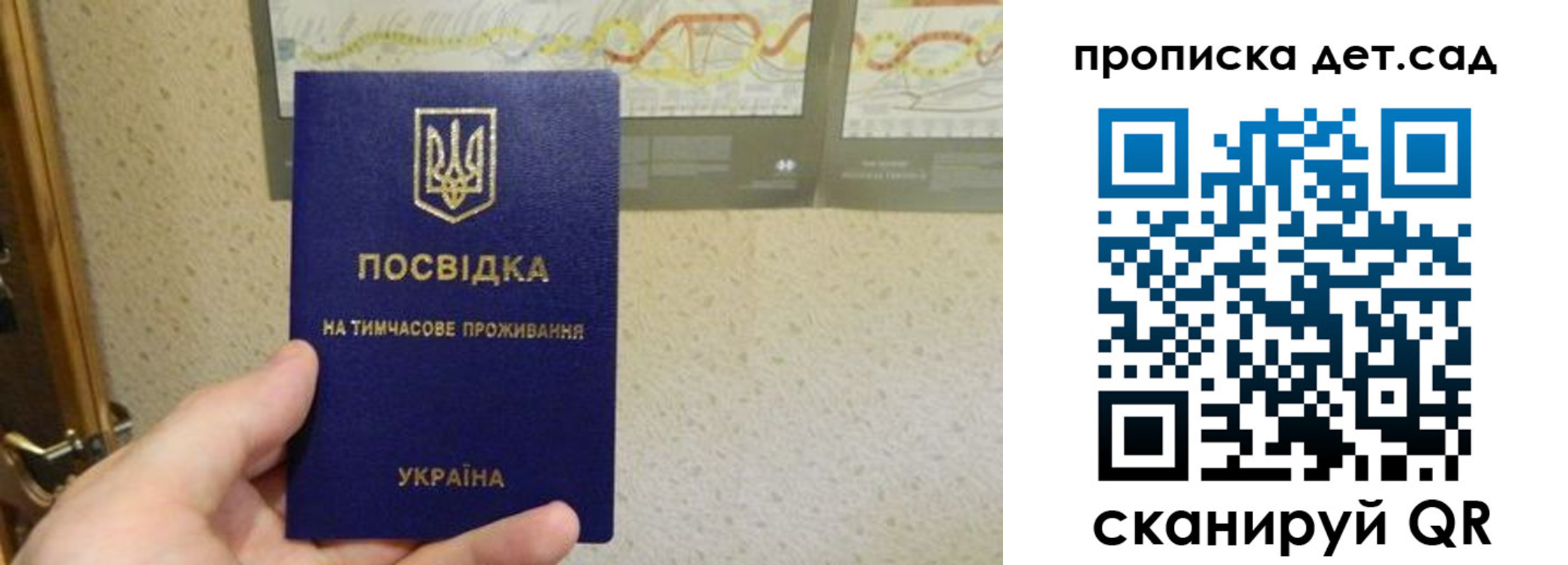 прописка для школы в Ясном